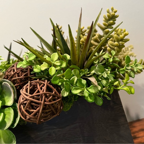 Rustic Succulent Arrangement in Wood Container - Picture 4 of 5